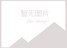 济源晓夏化学有限公司